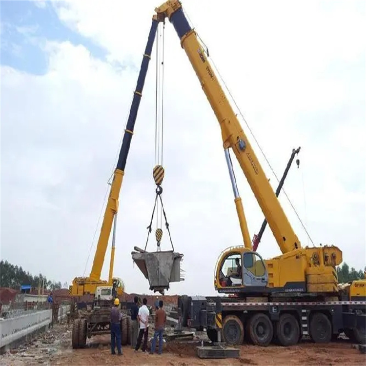 新龙小型吊机出租电话|厂房设备吊装方案|24小时服务覆盖